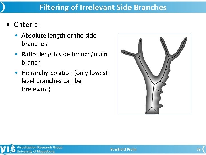 Filtering of Irrelevant Side Branches • Criteria: • Absolute length of the side branches