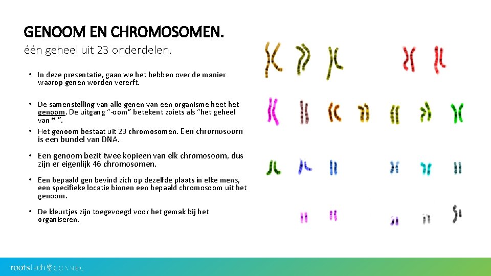 GENOOM EN CHROMOSOMEN. één geheel uit 23 onderdelen. • In deze presentatie, gaan we