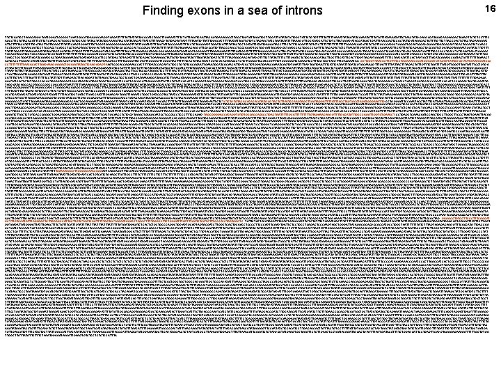 Finding exons in a sea of introns 16 TTCTCAGTCCTAAACAGGGTAATGGACTGGGGCTGAATCACATGAAGGCAAGGTCAGATTTTTATTATTATGCACATCTAGCTTGAAAATTTTCTGTTAAGTCAATTACAGTGAAAAACCTTACCTGGTATTGAATGCTTGCATTGTATGTCTGGCTATTCTGTGTTTTTAAAATTATAATATCAAAATATTTGTGTTATAAAATATTCTAACTATGGAGGCCATAAACAAGAAGACTAAAGTTCTCTCCTTTC AGCCTTCTGTACACATTTCTTCTCAAGCACTGGCCTATGCATGTATACTATATGCAAAAGTACATATATACATTTATATTTTAACGTATGAGTATAGTTTTAAATGTTATTGGACACTTTTAATATTAGTGTGTCTAGAGCTATCTAATATATTTTAAAGGTTGCATAGCATTCTGTCTTATGGAGATACCATAACTGATTTAACCAGTCCACTATTGATAGACACTATTTTGTTCTTACCGACTGTACTAGAAGAAAC ATTCTTTTACATGTTTGGTACTTGTTCAGCTTTATTCAAGTGGAATTTCTGGGTCAAGGGGAAAGAGTTTATTGAATATTTTGGTATTGCCAAATTTTCCTCTAAGAAGTTGAATCATTTTATACTCCTGATGTTATATGAGAGTACCTTTCTCTTCACAATTTGTCTCTTTTTTTTGAGACAAGGTCTCTGTTGCCCAGGCTGGGGTGCAGCAGAATGATCACAGTTCACTGCAGTCTCAACC TCCTGGGTTCAAGCGATCCTTCCACCTCAGCCTCCTGAGTAGCTGGGACTATAGGTGTGCGCCACCACTCCCAGCTAATATTTTGTAGAAACAGGGTTCGCCATGTTACCCAGCCTCCCAAAGTGCTGGGATTACAGGCATGAGCCACTGGCCCAGTTTCTACAGTCTCTCTTAATATTGTATATTATCCAGAAAATTTCATTTAATCAGAACCTGCCAGTCTGATAGGTGAAAATGGTATCTTGTTT TTATTTGCATTTAAAATTATGATAGTGGTATGCTTGGTTTTTTTGAAGGTATCAAATTTTTTACCTTATGAAACATGAGGGCAAAGGATGTGATACGTGGAAGATTTAAAATTTTTAATGCATTTTTTTGAGACAAGGTCTTGCTCTATTGTCCAGGCTGGAGTGCAGTGGCACAATCACAGTTCACTCCAGCCTCAACATCCTGCACTAAAGTGATTTTCCCACCTCTCAAGTAGCTGGGAC TACAGGTACATGCTACCATGCCTGGCTAATTTTTTTGCAGGCATGGGGTCTCACTATATTGCCCAGGTTGGTGTGGAAGTTTAATGACTAAGAGGTGTTATAAAGTTTAATGTATGAAACTTTCTATTAAATTCCTGATTTTATTTCTGTAGGACTGAACGTCTTGCTCGAGATGTGATGAAGGAGATGGGAGGCCATCACATTGTAGCCCTCTGTGTGCTCAAGGGGGGCTATAAATTCTTTGC
