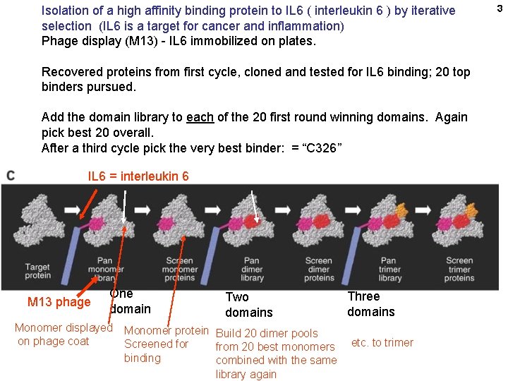 Isolation of a high affinity binding protein to IL 6 ( interleukin 6 )