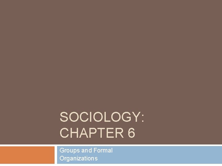 SOCIOLOGY: CHAPTER 6 Groups and Formal Organizations 