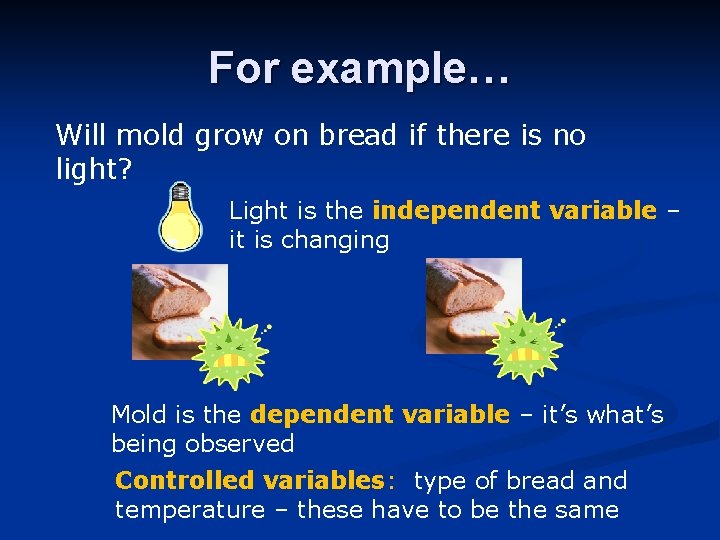 For example… Will mold grow on bread if there is no light? Light is