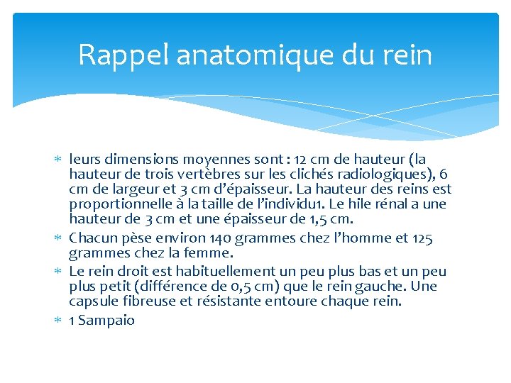Rappel anatomique du rein leurs dimensions moyennes sont : 12 cm de hauteur (la