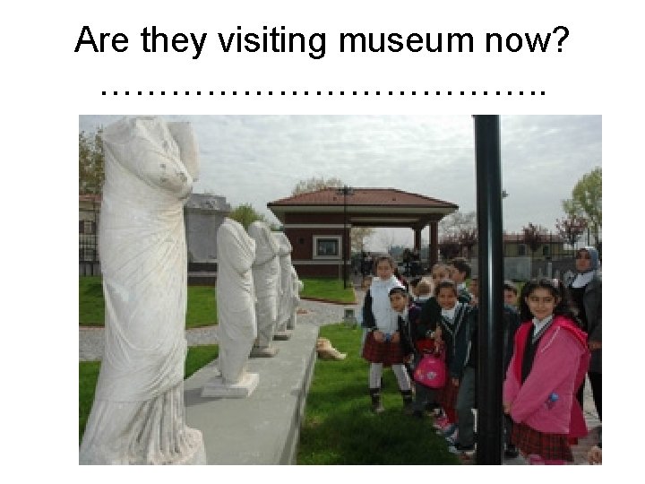 Are they visiting museum now? ………………. . 