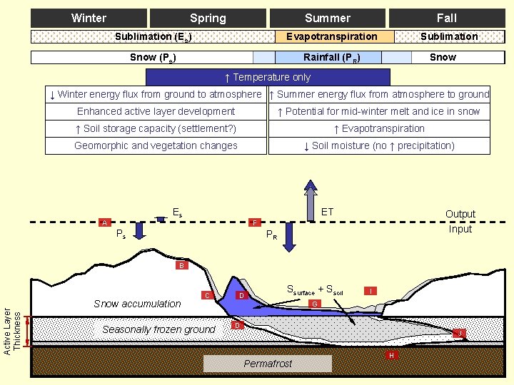 Winter Spring Summer Fall Sublimation (Es) Evapotranspiration Snow (Ps) Rainfall (PR) Sublimation Snow ↑ Winter Spring Summer Fall Sublimation (Es) Evapotranspiration Snow (Ps) Rainfall (PR) Sublimation Snow ↑