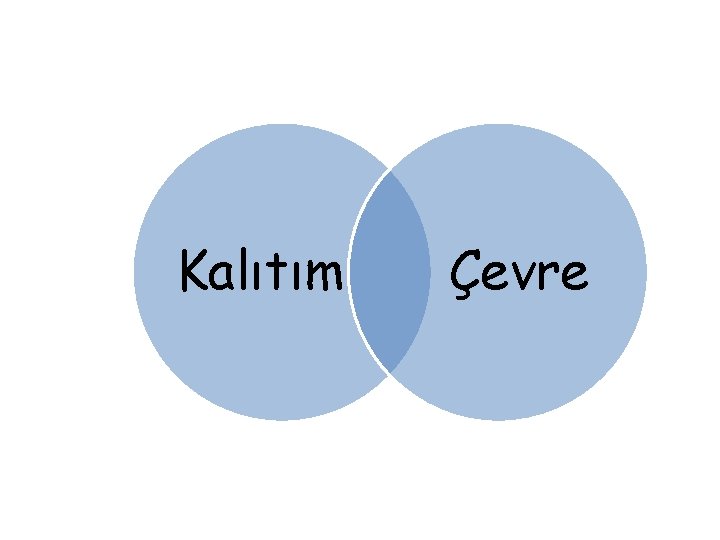 Kalıtım Çevre Kalıtım Çevre
