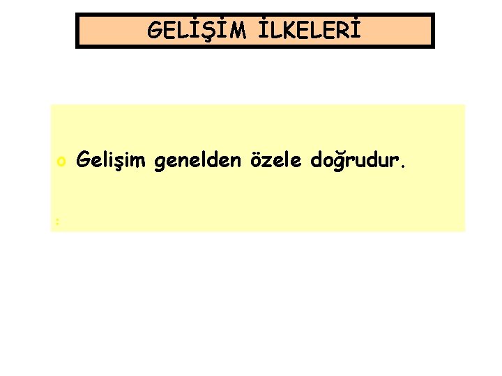 GELİŞİM İLKELERİ o Gelişim genelden özele doğrudur. o o 