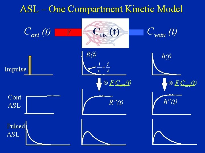 ASL – One Compartment Kinetic Model Cart (t) F Ctis (t) R(t) Cvein (t)