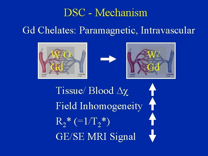 DSC - Mechanism Gd Chelates: Paramagnetic, Intravascular W/O Gd Tissue/ Blood Dc Field Inhomogeneity