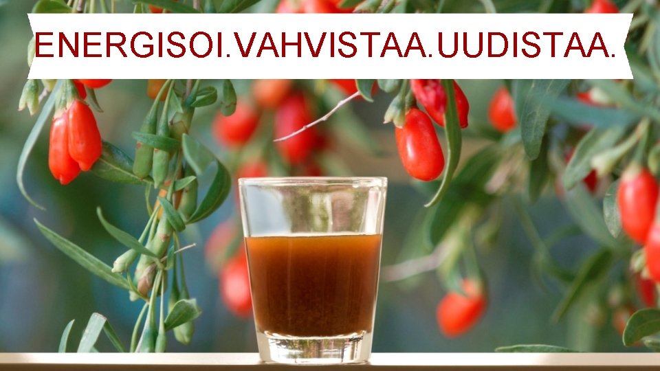 ENERGISOI. VAHVISTAA. UUDISTAA. 