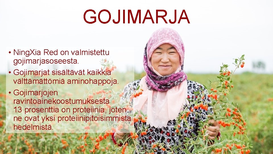 GOJIMARJA • Ning. Xia Red on valmistettu gojimarjasoseesta. • Gojimarjat sisältävät kaikkia välttämättömiä aminohappoja.