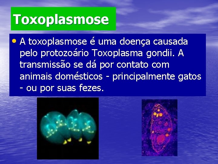 Toxoplasmose • A toxoplasmose é uma doença causada pelo protozoário Toxoplasma gondii. A transmissão