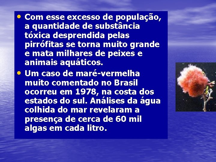  • Com esse excesso de população, • a quantidade de substância tóxica desprendida