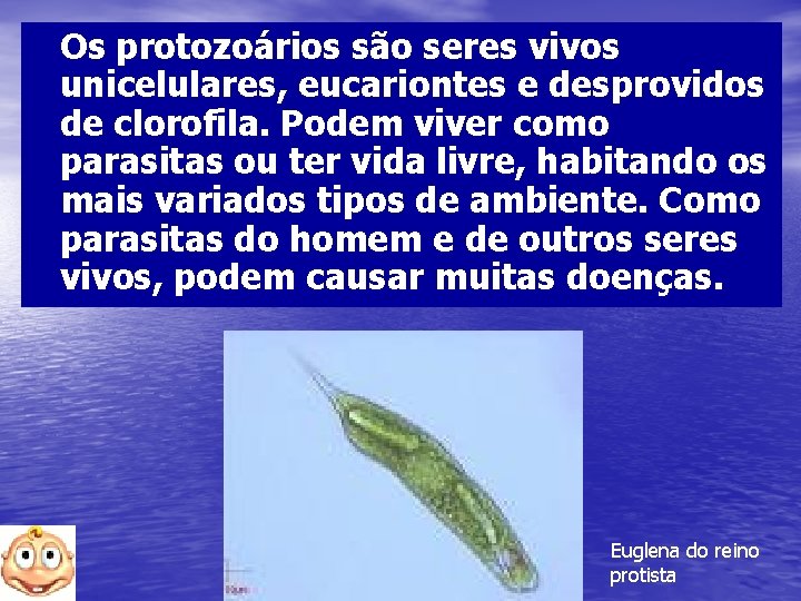 Os protozoários são seres vivos unicelulares, eucariontes e desprovidos de clorofila. Podem viver como