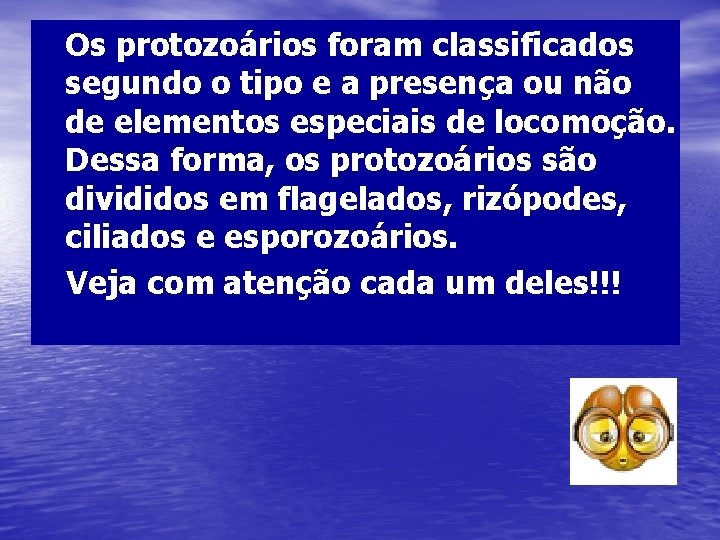 Os protozoários foram classificados segundo o tipo e a presença ou não de elementos