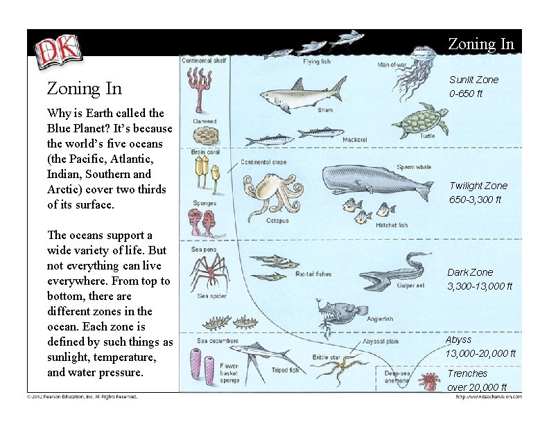 Zoning In Why is Earth called the Blue Planet? It’s because the world’s five