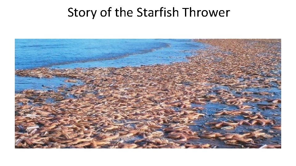 Story of the Starfish Thrower 