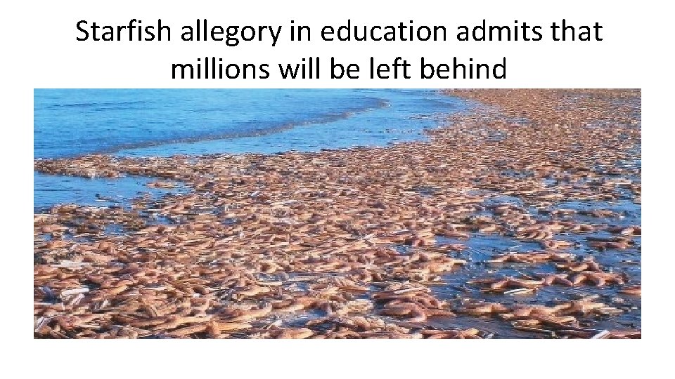 Starfish allegory in education admits that millions will be left behind 