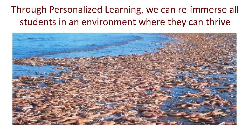 Through Personalized Learning, we can re-immerse all students in an environment where they can