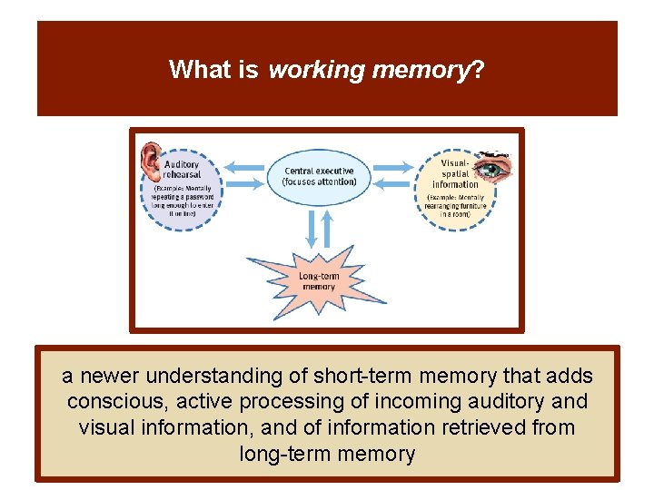 What is working memory? a newer understanding of short-term memory that adds conscious, active