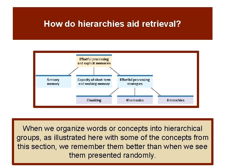 How do hierarchies aid retrieval? When we organize words or concepts into hierarchical groups,