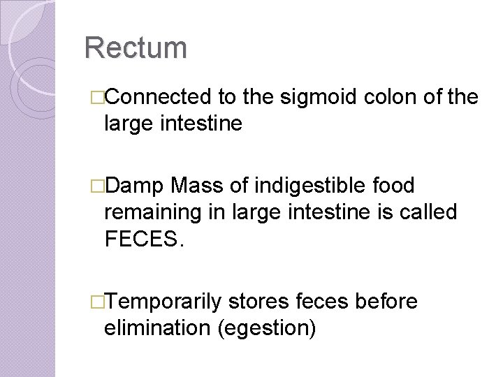 Rectum �Connected to the sigmoid colon of the large intestine �Damp Mass of indigestible