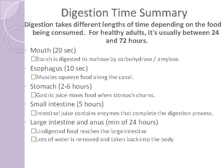 Digestion Time Summary Digestion takes different lengths of time depending on the food being