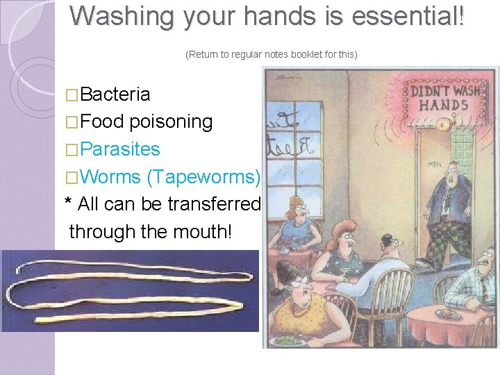 Washing your hands is essential! (Return to regular notes booklet for this) �Bacteria �Food
