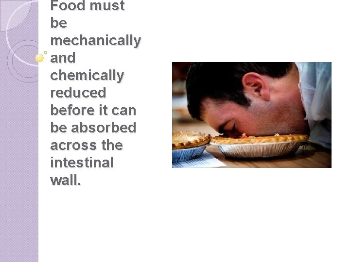 Food must be mechanically and chemically reduced before it can be absorbed across the