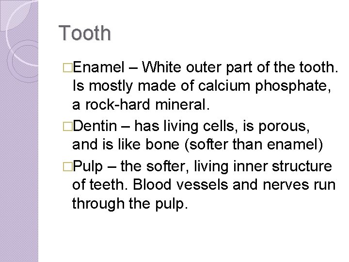 Tooth �Enamel – White outer part of the tooth. Is mostly made of calcium