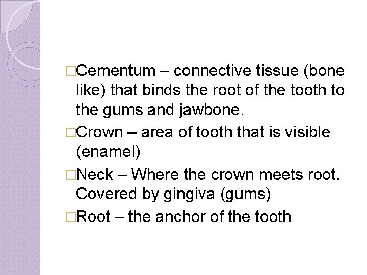 �Cementum – connective tissue (bone like) that binds the root of the tooth to