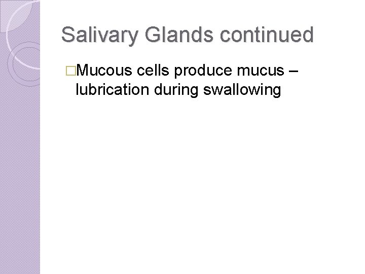 Salivary Glands continued �Mucous cells produce mucus – lubrication during swallowing 