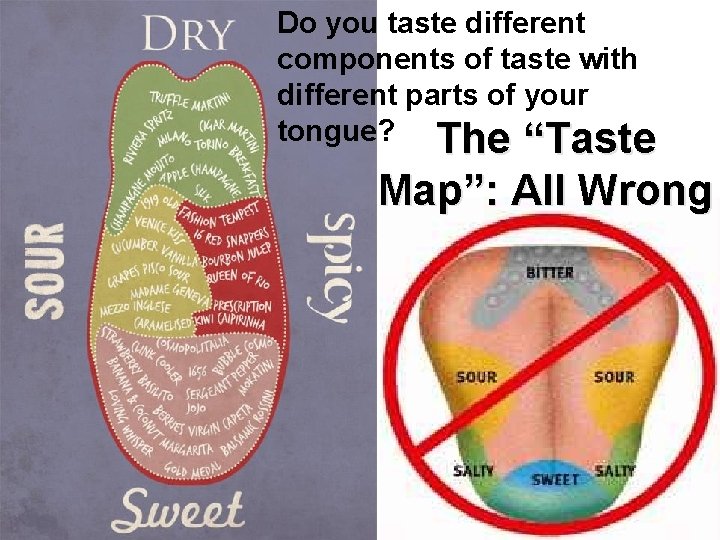Do you taste different components of taste with different parts of your tongue? The
