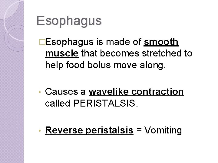 Esophagus �Esophagus is made of smooth muscle that becomes stretched to help food bolus