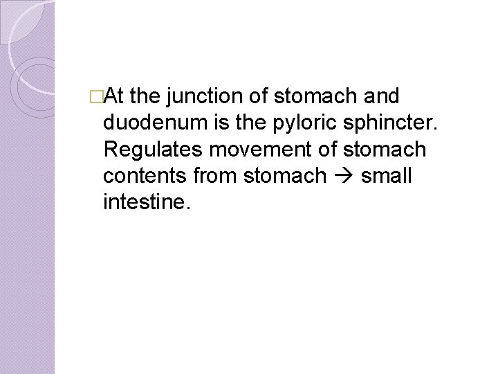 �At the junction of stomach and duodenum is the pyloric sphincter. Regulates movement of
