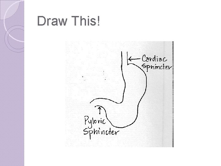 Draw This! 