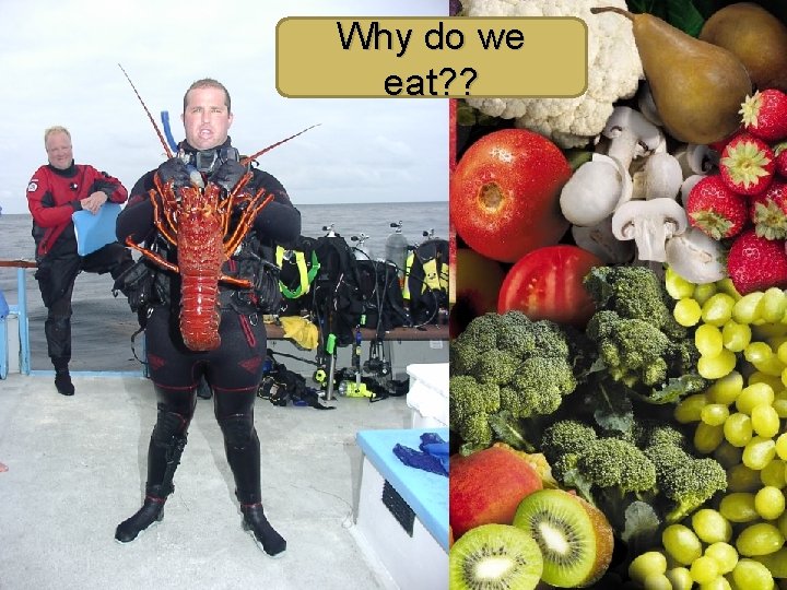 Why do we eat? ? 