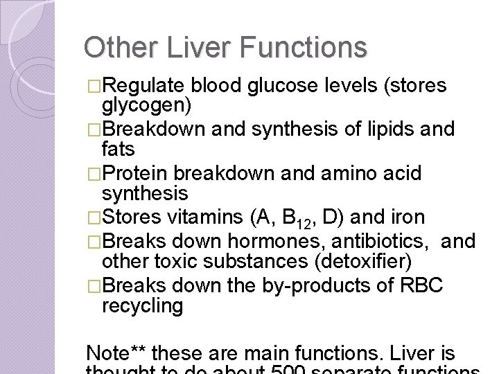 Other Liver Functions �Regulate blood glucose levels (stores glycogen) �Breakdown and synthesis of lipids