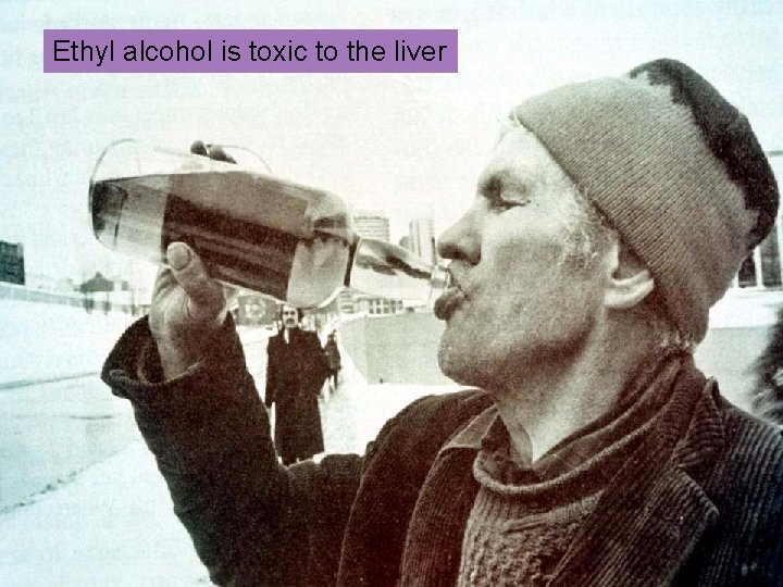 Ethyl alcohol is toxic to the liver 