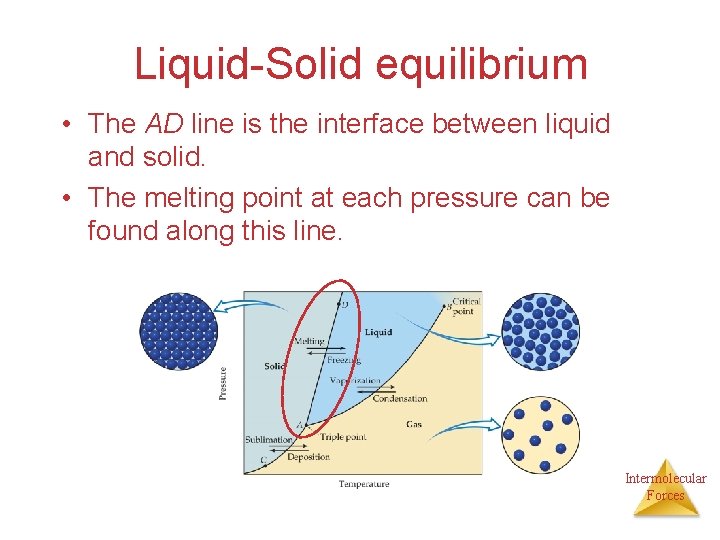 Liquid-Solid equilibrium • The AD line is the interface between liquid and solid. •