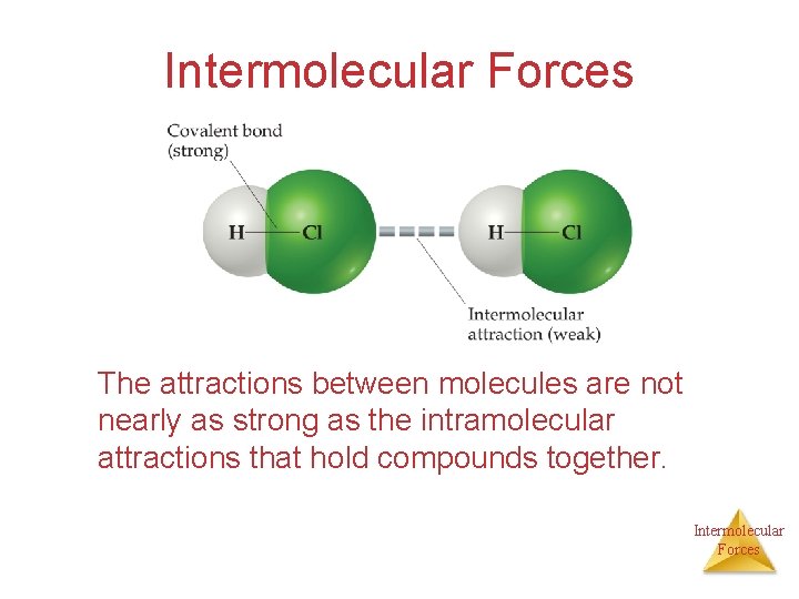 Intermolecular Forces The attractions between molecules are not nearly as strong as the intramolecular