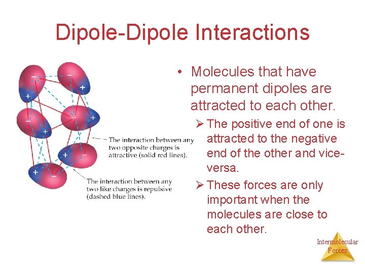 Dipole-Dipole Interactions • Molecules that have permanent dipoles are attracted to each other. Ø