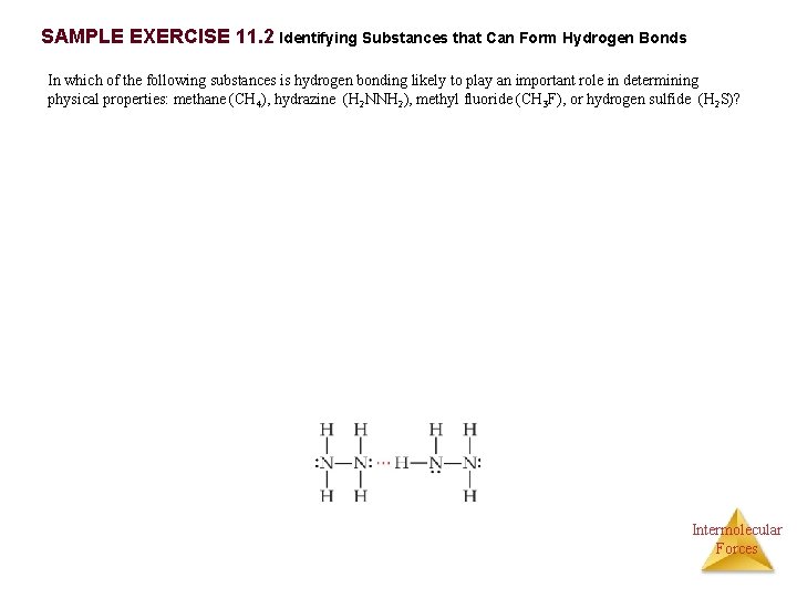 SAMPLE EXERCISE 11. 2 Identifying Substances that Can Form Hydrogen Bonds In which of