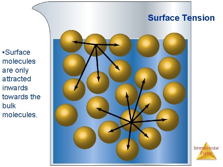 Surface Tension • Surface molecules are only attracted inwards towards the bulk molecules. Intermolecular