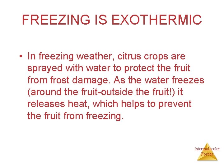 FREEZING IS EXOTHERMIC • In freezing weather, citrus crops are sprayed with water to