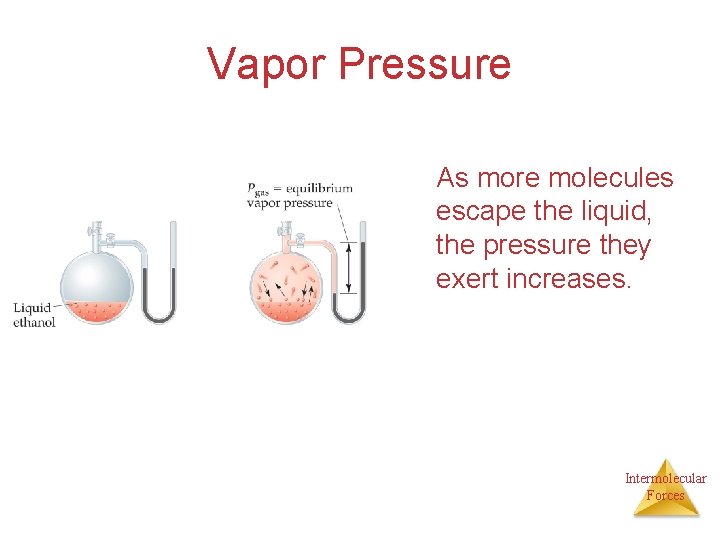 Vapor Pressure As more molecules escape the liquid, the pressure they exert increases. Intermolecular