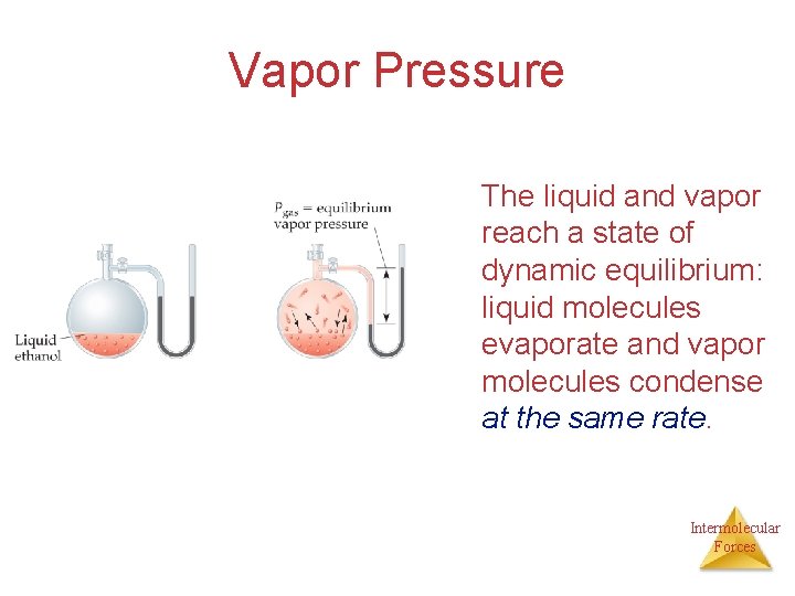 Vapor Pressure The liquid and vapor reach a state of dynamic equilibrium: liquid molecules