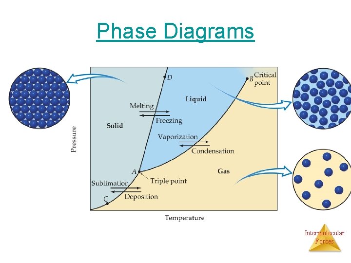Phase Diagrams Intermolecular Forces 