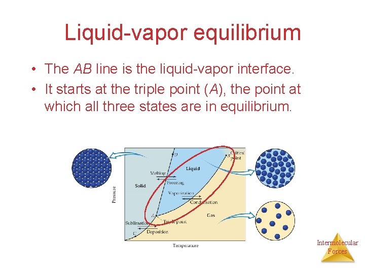 Liquid-vapor equilibrium • The AB line is the liquid-vapor interface. • It starts at