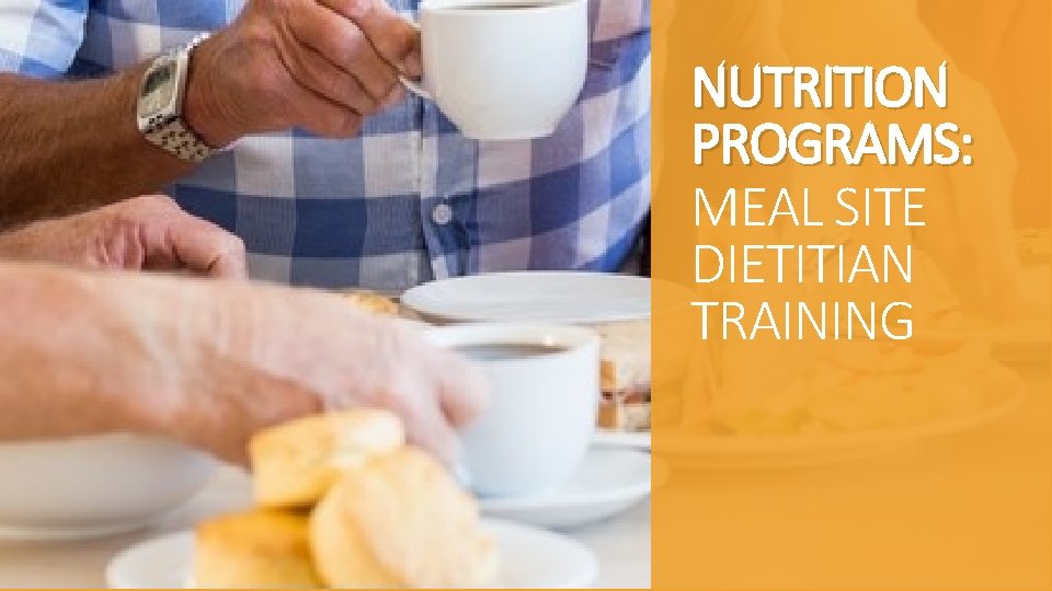 NUTRITION PROGRAMS: MEAL SITE DIETITIAN TRAINING 